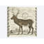 « staging », impression sur toile tendue Regal-74876505-74876506-74876507