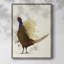 Pheasant Splash 8, reproduction encadrée - bois massif-1878008310