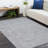 Cotton and Viscose Indoor Rug-1434565893