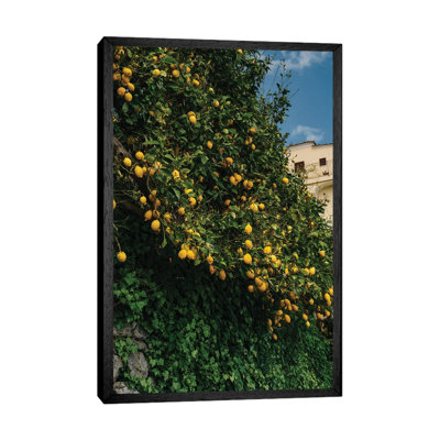 Amalfi Coast Lemons II by Bethany Young - Print on Canvas