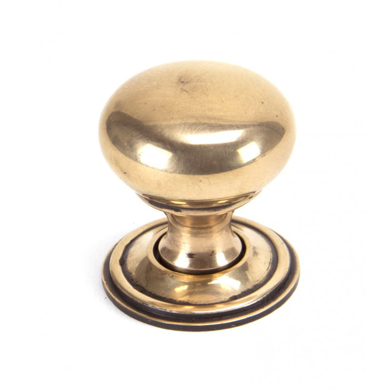 Oval Mushroom Knob, Polished Bronze, 3.2cm