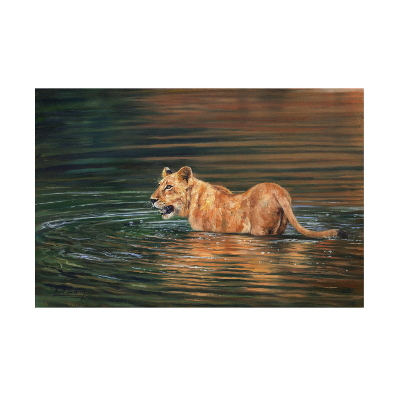 «David Stribble Lioness Water», art sur toile, H 12 po x l 19 po