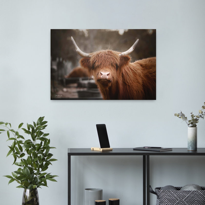 «Great Hair Day», vache contemporaine, paysage, art naturel, H 16 po x l 24 po