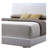 Platform Bed