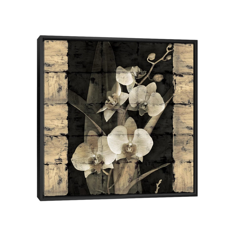 «Orchids in Bloom II», impression sur toile, H 18 po x l 18 po x P 1,5 po, Toile avec cadre noir, Pas de tapis