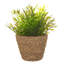 Walbourne Pot Planter-82297929