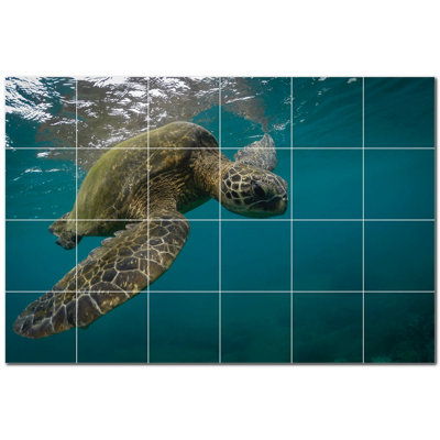 Tortue photo 4,25 x 4,25