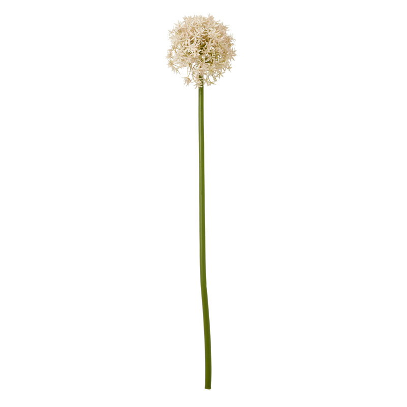 Arrangement, Beige, 80 cm H x 16 cm W x 16 cm D