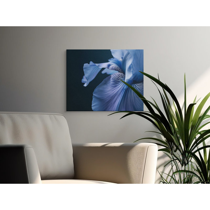 Schwarz Wrapped Canvas Print Set, 30x15