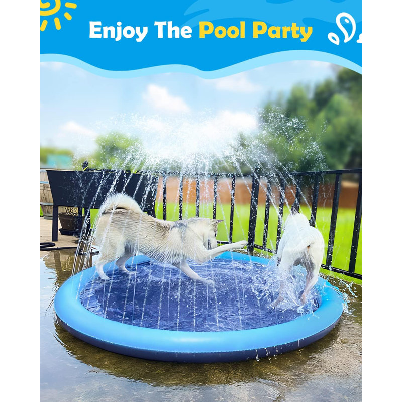 Piscine antidérapante pour chien 67 po Peteast