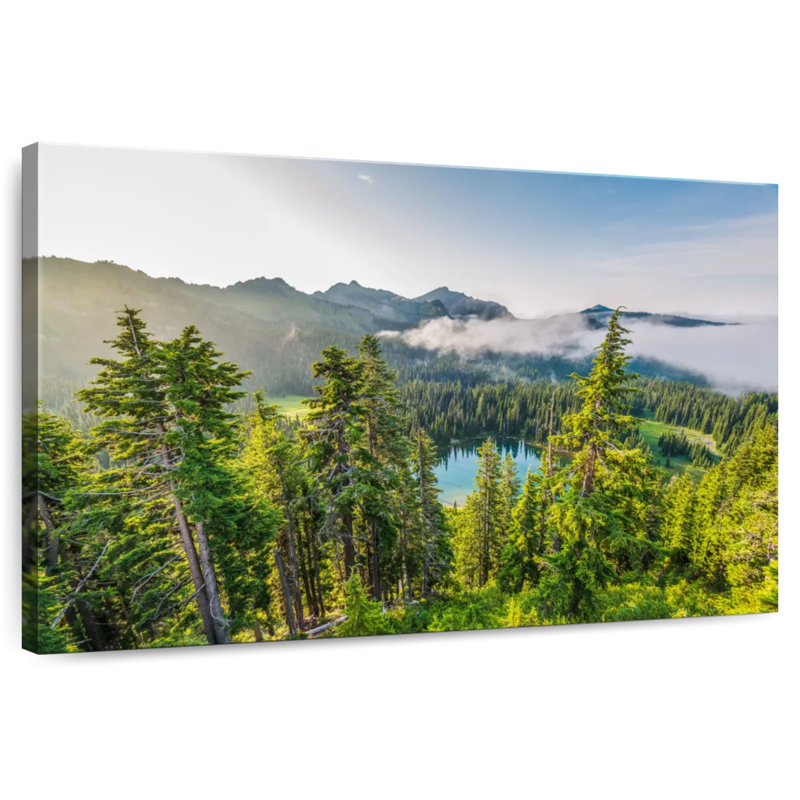 Alvord Mt. Rainier Pine Forest