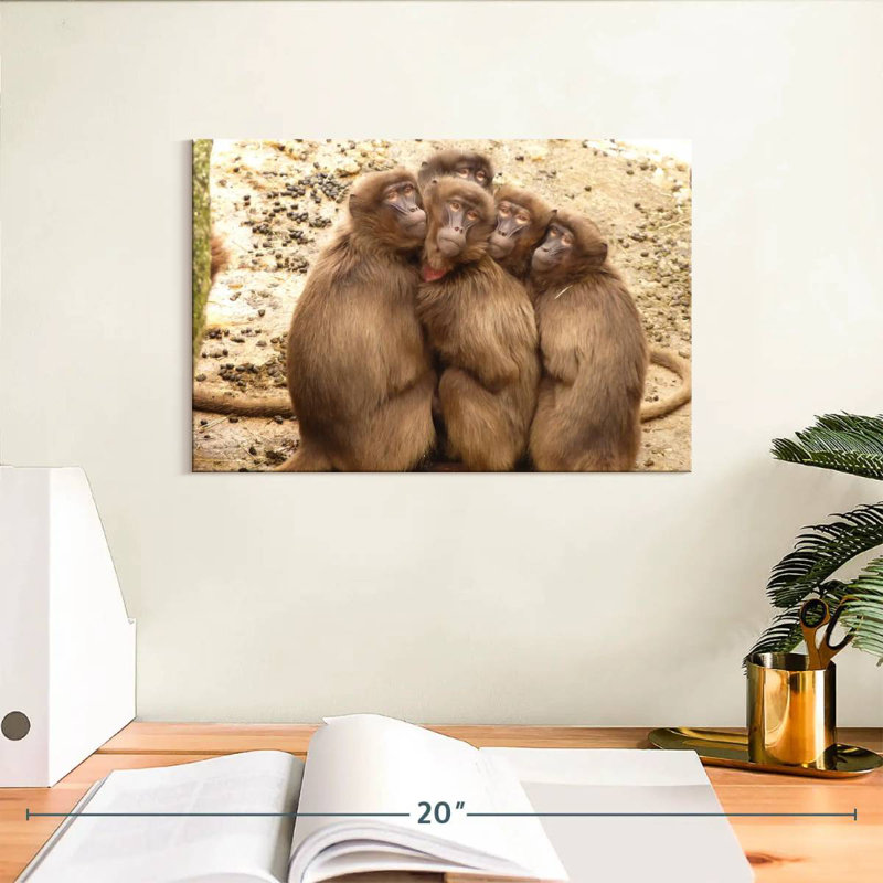 Brampt Monkey Troop, 8" H x 12" W