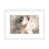 White Framed Paper is unavailable