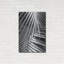 "Cycad, Michigan 80" par Monte Nagler-1949048217