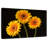 Harnek Three Gerbera Daisies On Dark Background-108136811