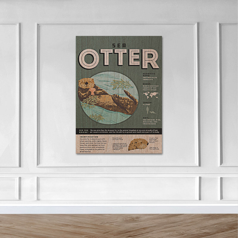 " Knowledge About Sea Otter ", 20" H x 16" W x 2" D