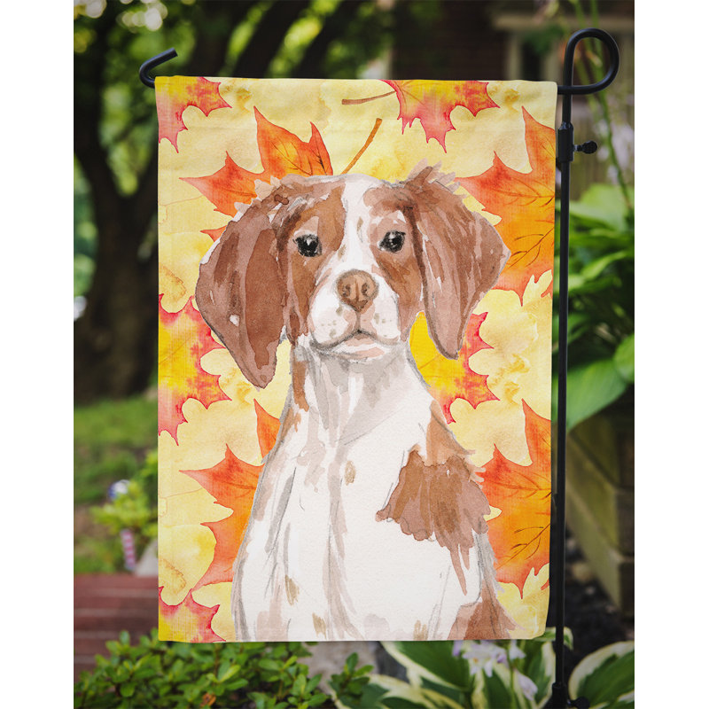 Automne 2 côtés en polyester 15 x 11 po drapeau de jardin, Épagneul Brittany