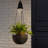 Justice Hanging Planter-1341022252