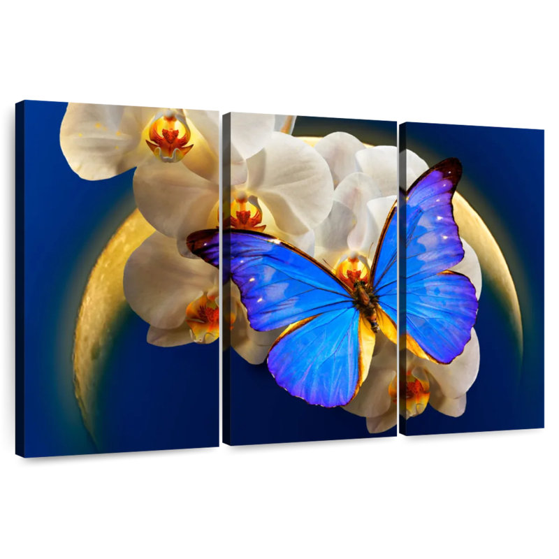 Brampt Moonlit Morpho Butterfly, 32" H x 50" W