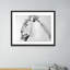 Lioness Profile Print by Amy Bautz-48618904-48618905