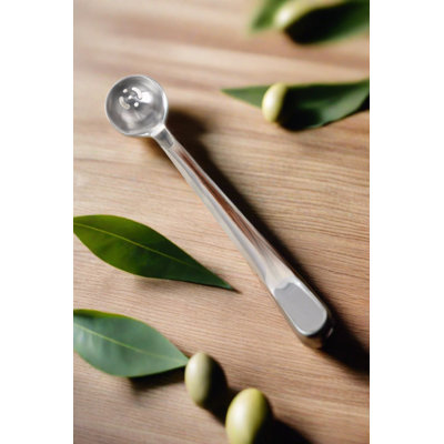 Stainless Steel Serving Spoon