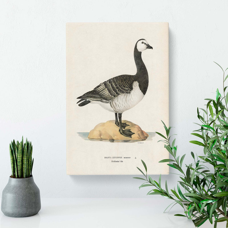 Barnacle Goose by Von Wright - Wrapped Canvas Painting, 50cm H x 35cm W x 3cm D