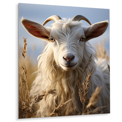 Goat Portrait Vibrant I - Décoration murale en métal animaux chèvre