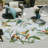 Shar Multi Chanticleer Indoor/Outdoor Modern Rug-349660701