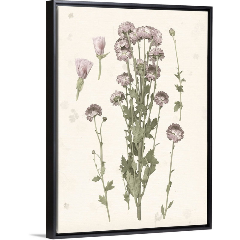 Pressed Blooms I, art mural sur toile, Toile avec cadre noir, H 16 po x l 12 po x P 2 po