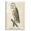 «Barn Owl 1560-1585» par Inconnu, art mural en verre acrylique-2085123662