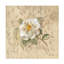 Art floral Cheri Blum-105718152