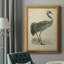 Morris Crane I - Morris Crane I - impression-463939011