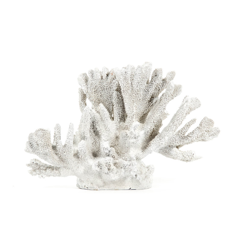 Yardley Coral Statue