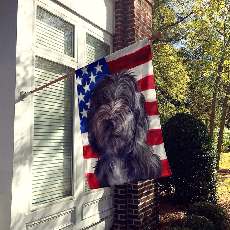 Polyester à 2 côtés 28 x 40 po drapeau maison, Lagotto Romagnolo