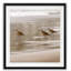 " Shore Birds I "-1605532892