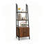 160 cm H x 53 cm W Ladder Bookcase