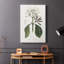 Tropical Botanical IV - Cavas enveloppés de galerie-1483249423