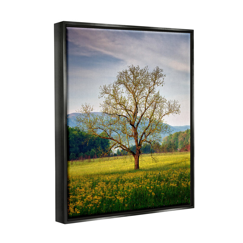 Art mural sur toile Lone Tree Wildflower Meadow Floater par Rick Berk, Cadre flottant noir de jais