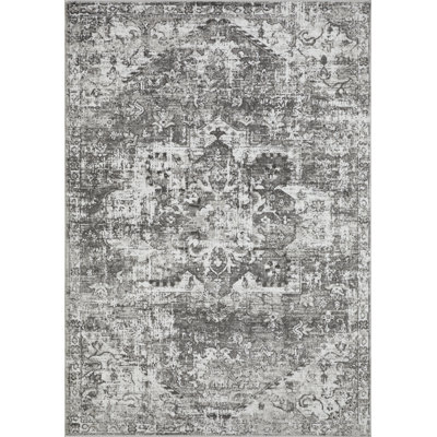 Ariez Oriental Indoor Rug