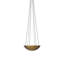 Branson 6 - Light Chandelier