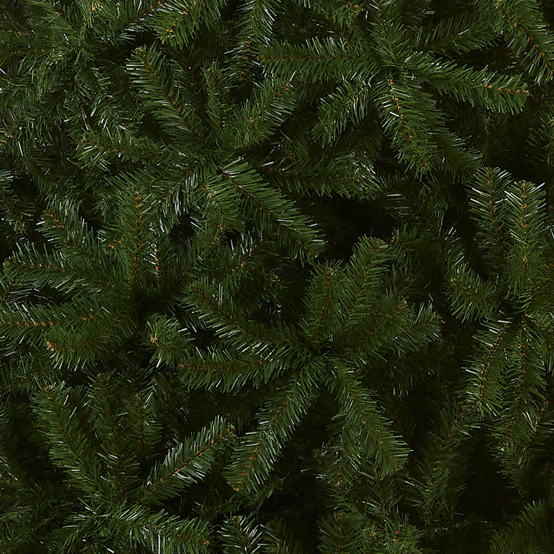 Épinette North Valley, H 10 pi