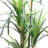 Faux Yucca Plant in Plastic Pot Liner-515885133