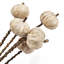 Set Of 12, 23.5"   5Pcs/Bunch Pumpkin Pod Twig Stem