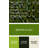 Fruit Kiwi Green Canvas Wall Art