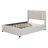Size Upholstered Platform Bed With 2 Drawers And 1 Size Trundle, Classic Headboard Design,-1959891543