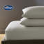 Silentnight Pure Cotton 200 TC Pillowcases-112662052