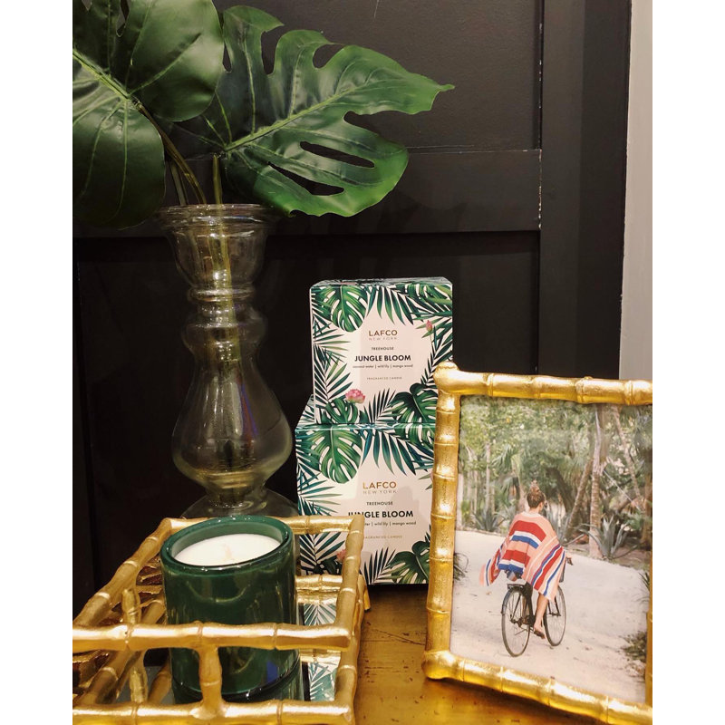 House and Home 15.5oz Jungle Bloom Signature Candle - Treehouse, 15.5 oz.