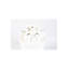 Vase Bassin-78549326