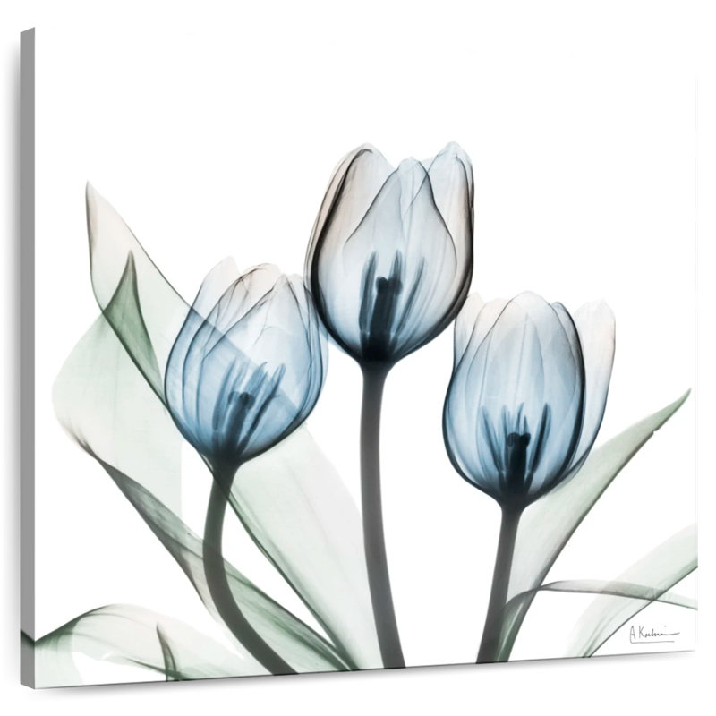 Tulipes Harnek Glacier II