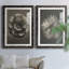 «Blossfeldt Flower III», ensemble de 2 reproductions de photos sur papier encadrées-1593793521-1593793533